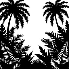 Obraz premium Tree cactus, agave, succulents, Summer day black and white, 
