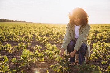 Young agronomist woman inspecting soybean plants at sunset