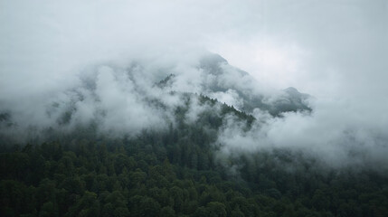 A lush forest mountain covered in thick fog.