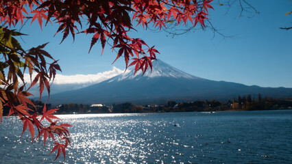 Mt FUji Kawaguchiko