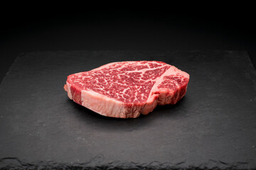 牛肉 ステーキ 肉 ヒレ 赤身 Beef Steak Meat Fillet Lean