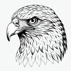 Eagle Head Engraving Style