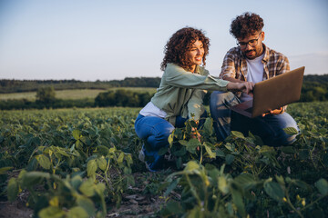 Agronomists analyzing soybean plants using laptop in cultivated field