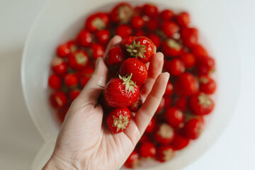 Hand Holding Washed Fresh Strawberries