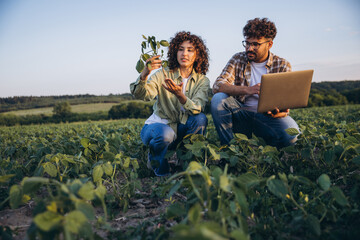 Agronomists examining soybean plants and using laptop in cultivated field © anatoliycherkas