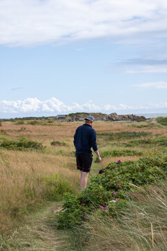 Man walking dog in field near coastline on sunny day