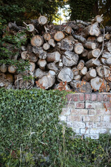 Stacked Firewood Behind Ivy-Covered Brick Wall