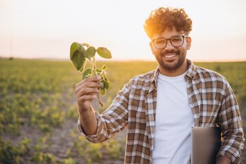 Agronomist Holding Soybean Plant in Cultivated Field at Sunset