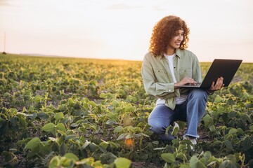 Young agronomist using laptop and inspecting crops in soybean field at sunset