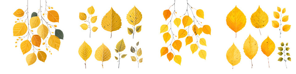 Obraz premium Autumn Leaves Collection: Watercolor Illustration on White Background