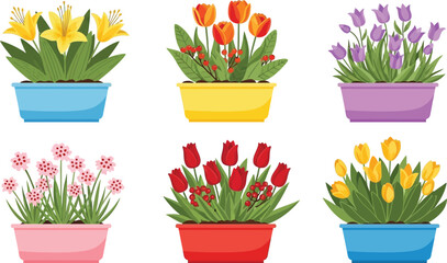 Colorful flower pots vector illustration, spring flowers in pots, garden flowers vector design