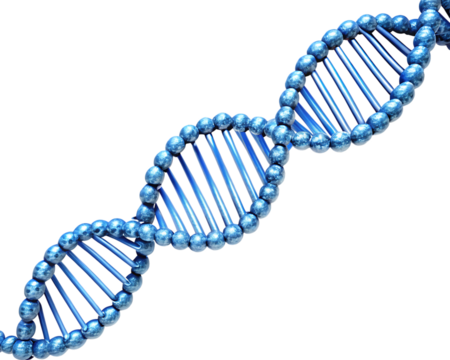 Blue metallic double helix D N A molecule structure with internal lighting isolated on a transparent background