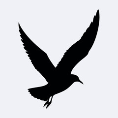 Fototapeta premium Silhouette of a Seagull in Flight