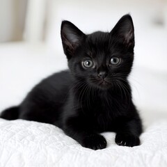 A cute black kitten lying on a white surface, looking curiously at the camera.