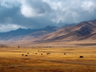 Obraz premium Vast golden steppe under dramatic sky