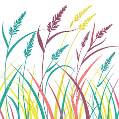 Colorful grasses in the wind