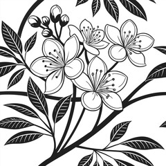 Elegant cherry blossom branch