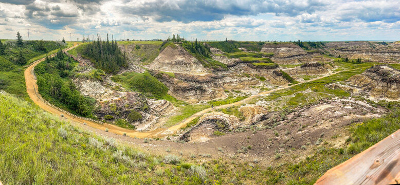 A sweeping panoramic view captures the rugged, eroded Alberta badlands with a winding dirt path, highlighting their unique geological beauty in Kneehill County, Alberta, Canada.