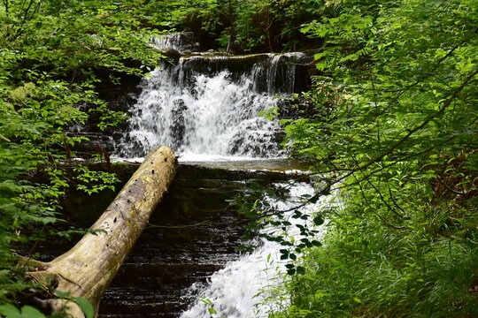 river Wisla near source and its waterfalls Rodla,Poland