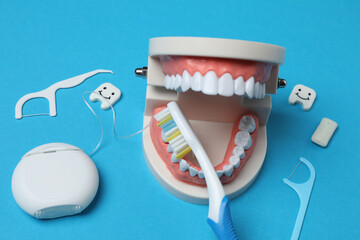 jaw model, toothbrush, dental care tools on blue background