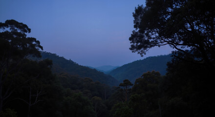 Mountain forest landscape with layered ridges at sunset. Natural terrain with atmospheric perspective for environmental conservation and landscape awareness campaigns