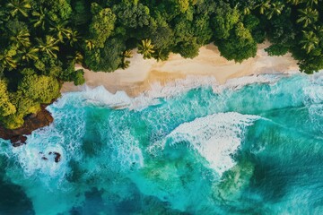 Tropical beach scene with crashing waves.