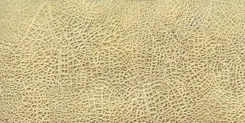 メロンの表面の模様を写真とAIで柄に