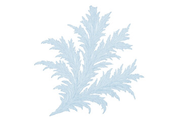 Fototapeta premium Delicate frost spreading intricate, feathery ice crystals on transparent surface, highlighting winter's crystalline beauty