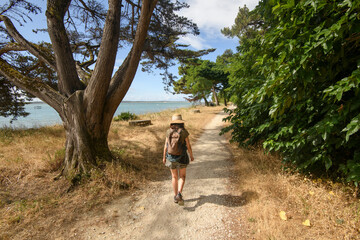 femme seule de dos, sur un chemin de randonnée au bord de la mer sur l'ile d'oléron en France