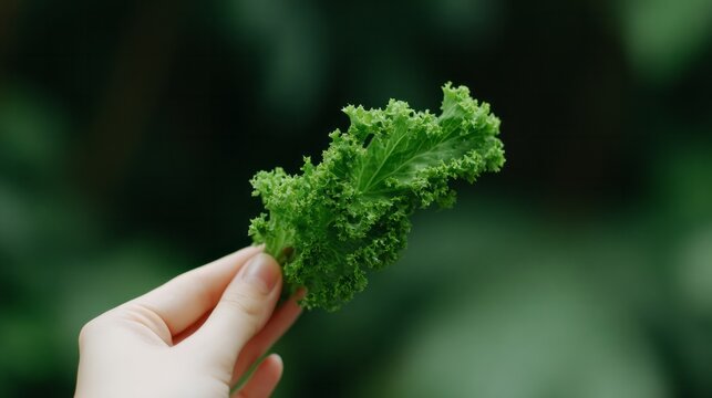 A delicate hand holding curly kale evokes Earth Day whimsy and the verdant dreams of National Green Juice Day