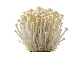 Enoki mushrooms PNG