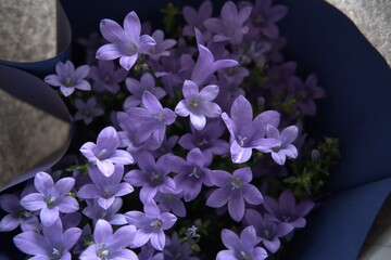 A bouquet of purple flowers in paper