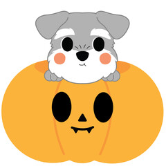 Cartoon Dog in a Halloween Pumpkin