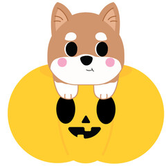 Cartoon Shiba Inu on Halloween Pumpkin