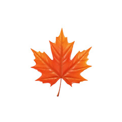 Fototapeta premium Autumnal red and orange maple leaf isolated on white, showcasing vibrant fall foliage and natural seasonal beauty