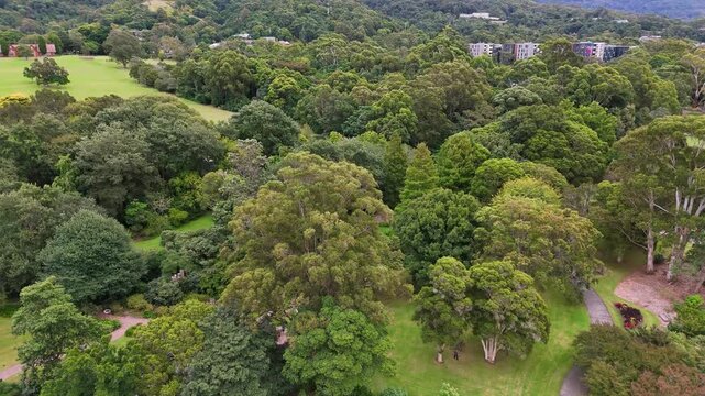 Botanic Garden, Wollongong, Australia: Drone Video-Rising from the white Pavilion in the Rose Garden to a scenic panoramic view of the Rotunda Duck Pond and the grounds, with native and exotic plants.