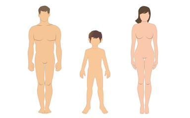 Vector illustration of man, woman and child body proportions flat style, front view of man. flat style