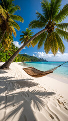 Tropical beach hammock paradise.