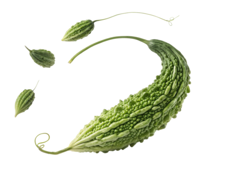 Bitter gourd is unique vegetable known for its distinct shape and texture, often used in various cuisines for its health benefits