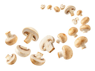 Fresh mushrooms arranged in dynamic spiral create vibrant display of nature beauty. Each button mushroom showcases its unique shape and texture