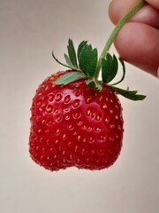 Close up and texture of Unique strawberry in a hand