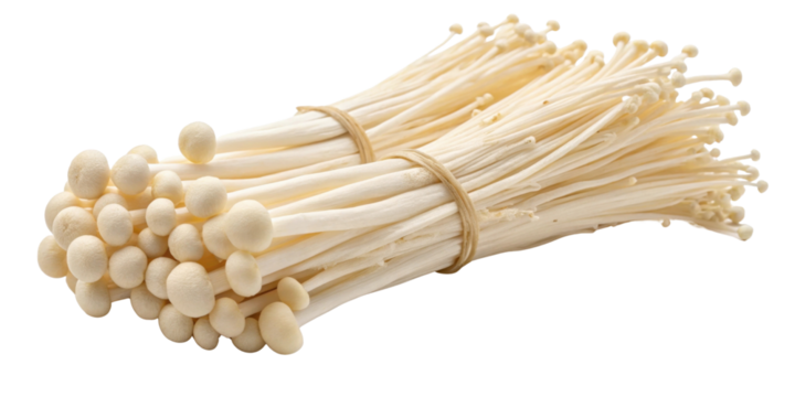 Fresh enoki mushrooms are bundled together showcasing their delicate, slender stems and small caps, perfect for enhancing dishes with subtle