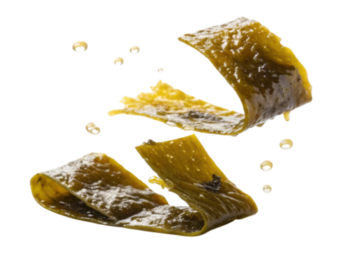 Fresh kelp floating gracefully in air showcases its vibrant green color and unique texture, perfect for culinary creations