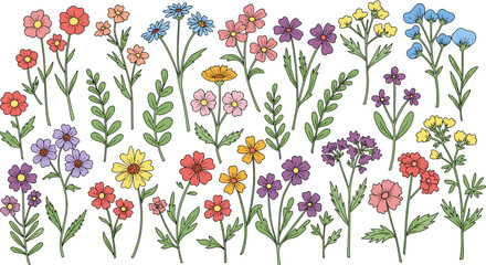 Colorful hand drawn floral collection with diverse garden flowers and