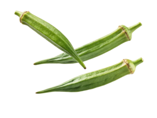 Fresh okra pods are vibrant green and elongated, perfect for healthy dishes and adding flavor to meals