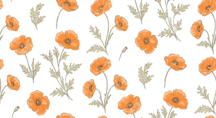 Delicate seamless pattern of hand drawn orange poppies on white backgr