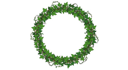 Green leafy wreath with ivy vine circular frame design