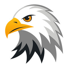 Fototapeta premium Eagle Head
