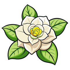 Illustration of a white magnolia flower with green leaves for botanical designs and art projects © VECTOR STORE