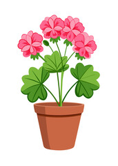 Beautiful pink geranium flower in pot illustration for home decor and floral design projects